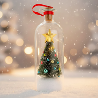Thumbnail for MagicBottle – Natale e Ricordi – Bottiglia con messaggio natalizio