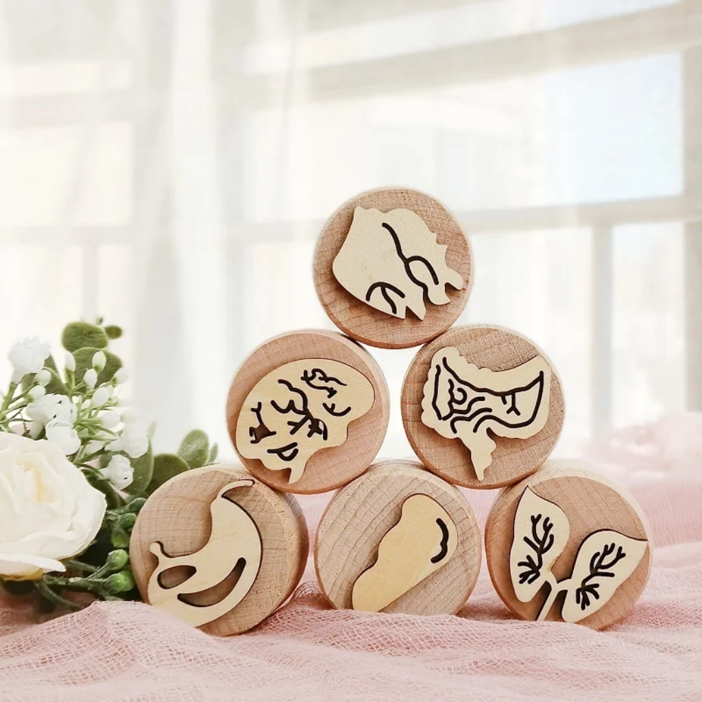 WoodStamp – Montessori & Creatività – 6 timbri in legno per plastilina