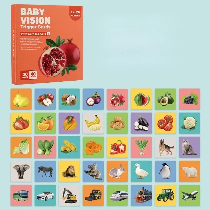 VisionBook – Educativo e istruttivo – Libro di carte sulla cognizione dei bambini