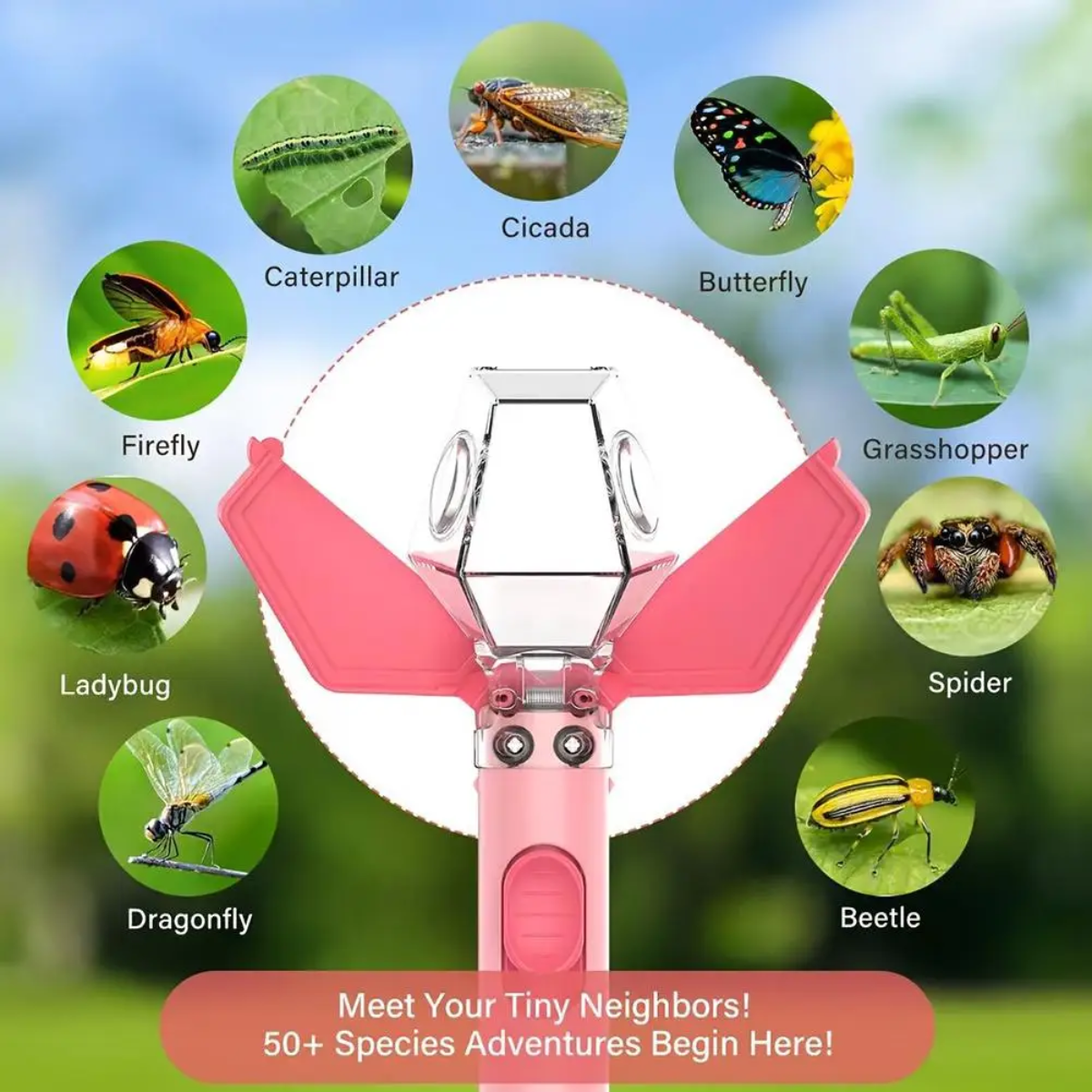 BugMaster – Educativo e divertente – Acchiappainsetti multifunzionale