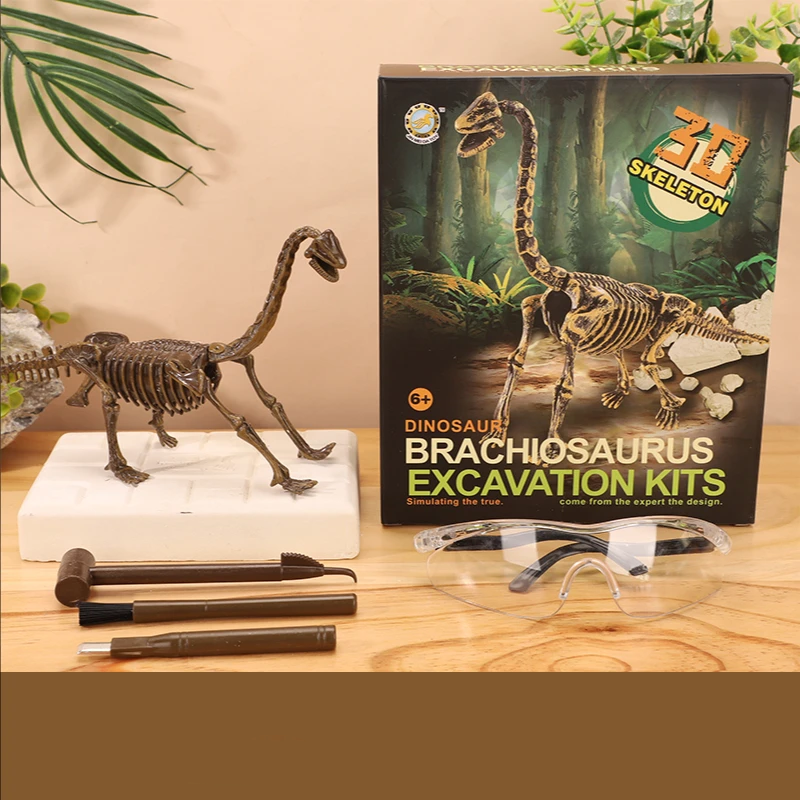 DinoDig – Emozionante e istruttivo – Set per lo scavo di fossili