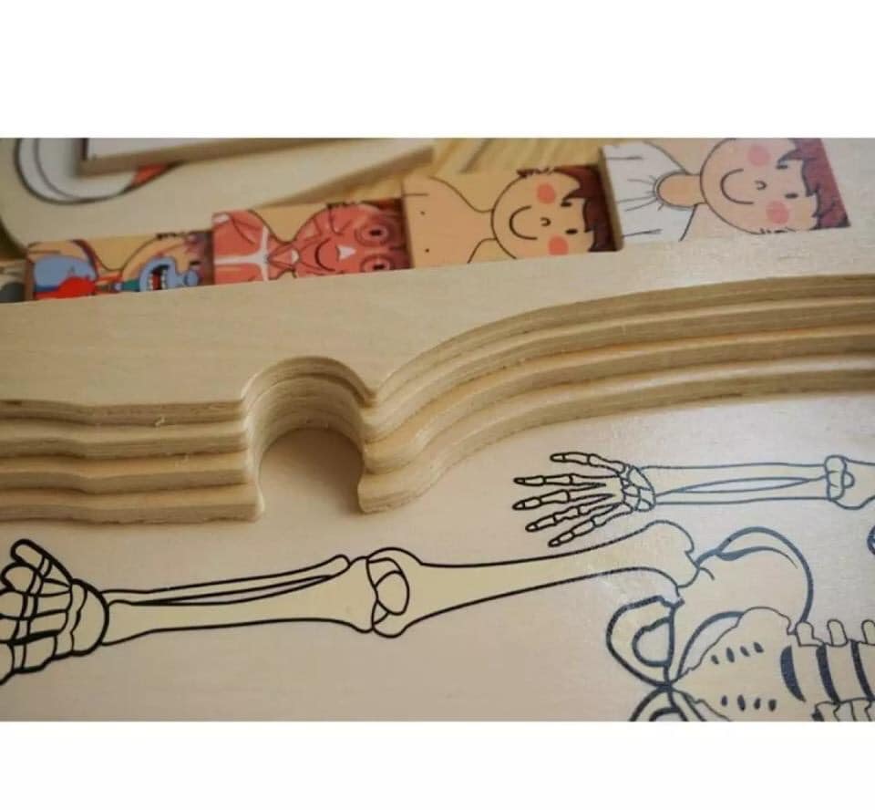 Woods™ - Avventura anatomica - Puzzle in legno