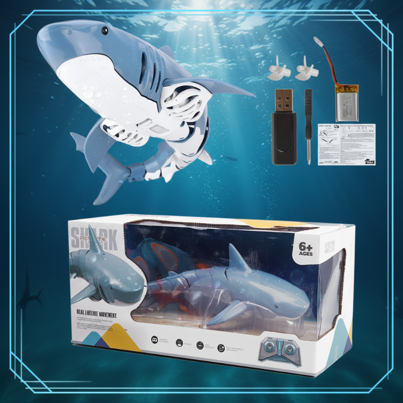 SeaBuddy – Creatività e movimento – RC Haai