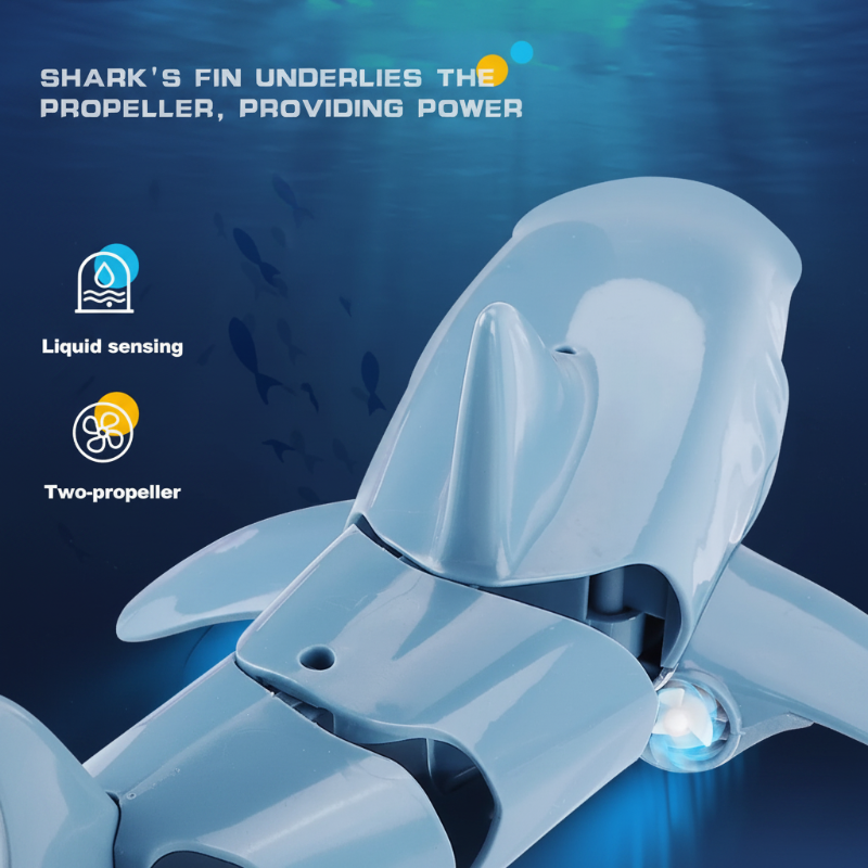SeaBuddy – Creatività e movimento – RC Haai