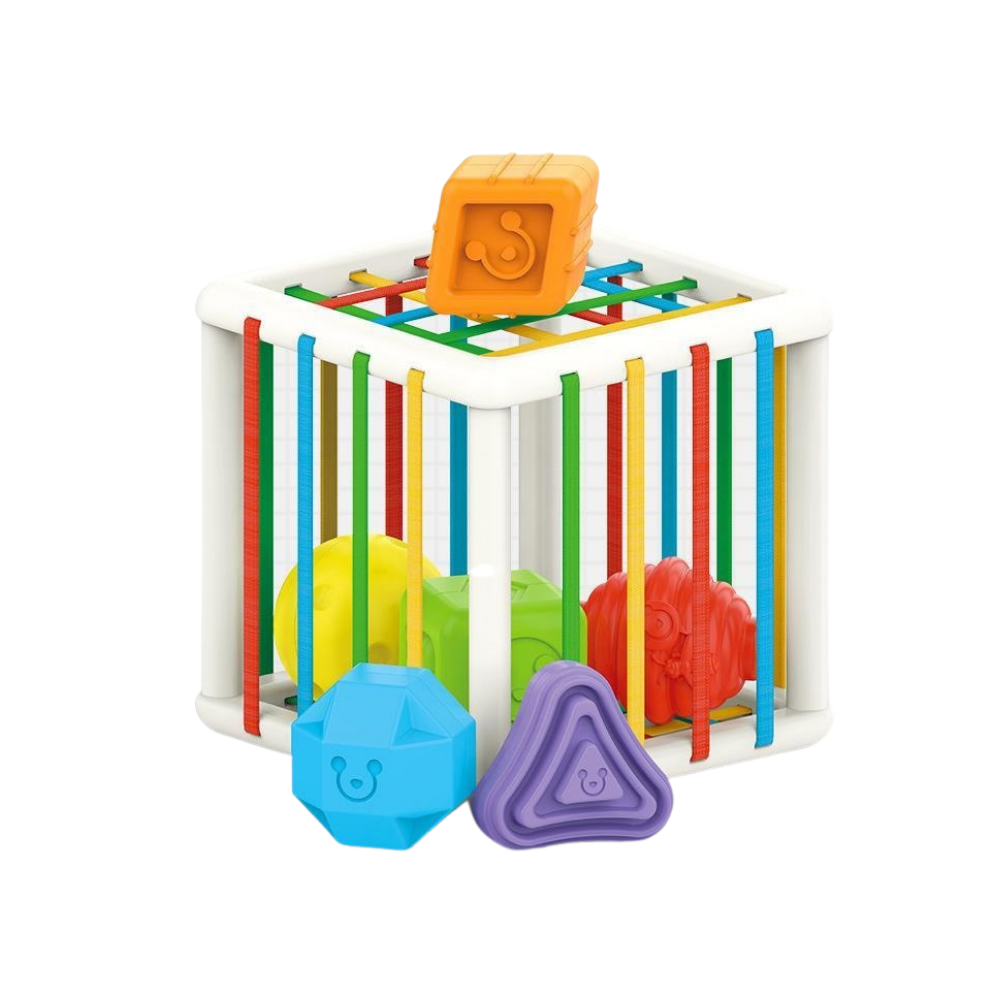 Sorting Cube™ - Cubo di selezione - Cubo didattico
