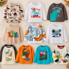 Kids Dinosaur Sweatshirt – Comfort e stile – Maglione per bambini Dino