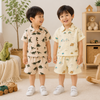 Dinosaur & Car Print Outfit – Grintoso e giocoso – Set di abbigliamento estivo
