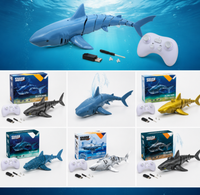 Thumbnail for SeaBuddy – Creatività e movimento – RC Haai