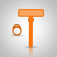 Thumbnail for ReadFocus – Intelligente ed educativo – Guida alla lettura