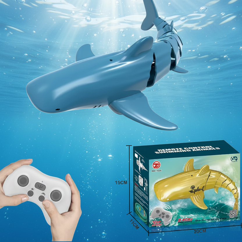 SeaBuddy – Creatività e movimento – RC Haai