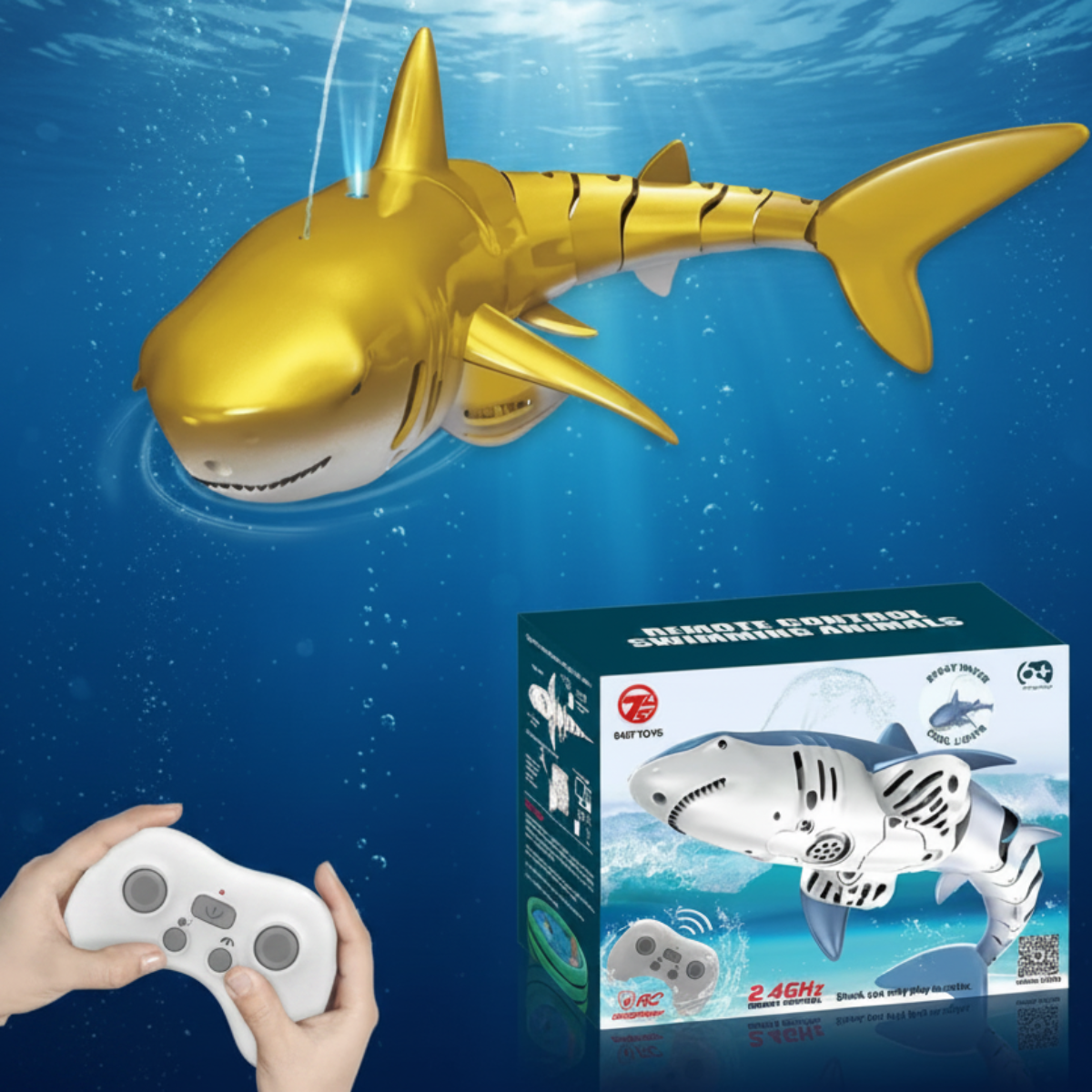 SeaBuddy – Creatività e movimento – RC Haai