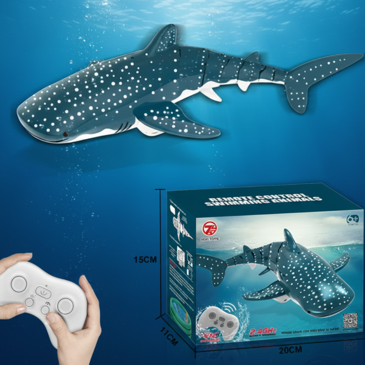 SeaBuddy – Creatività e movimento – RC Haai