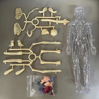 Thumbnail for Human Anatomy – Imparare e scoprire – Kit modello del corpo umano