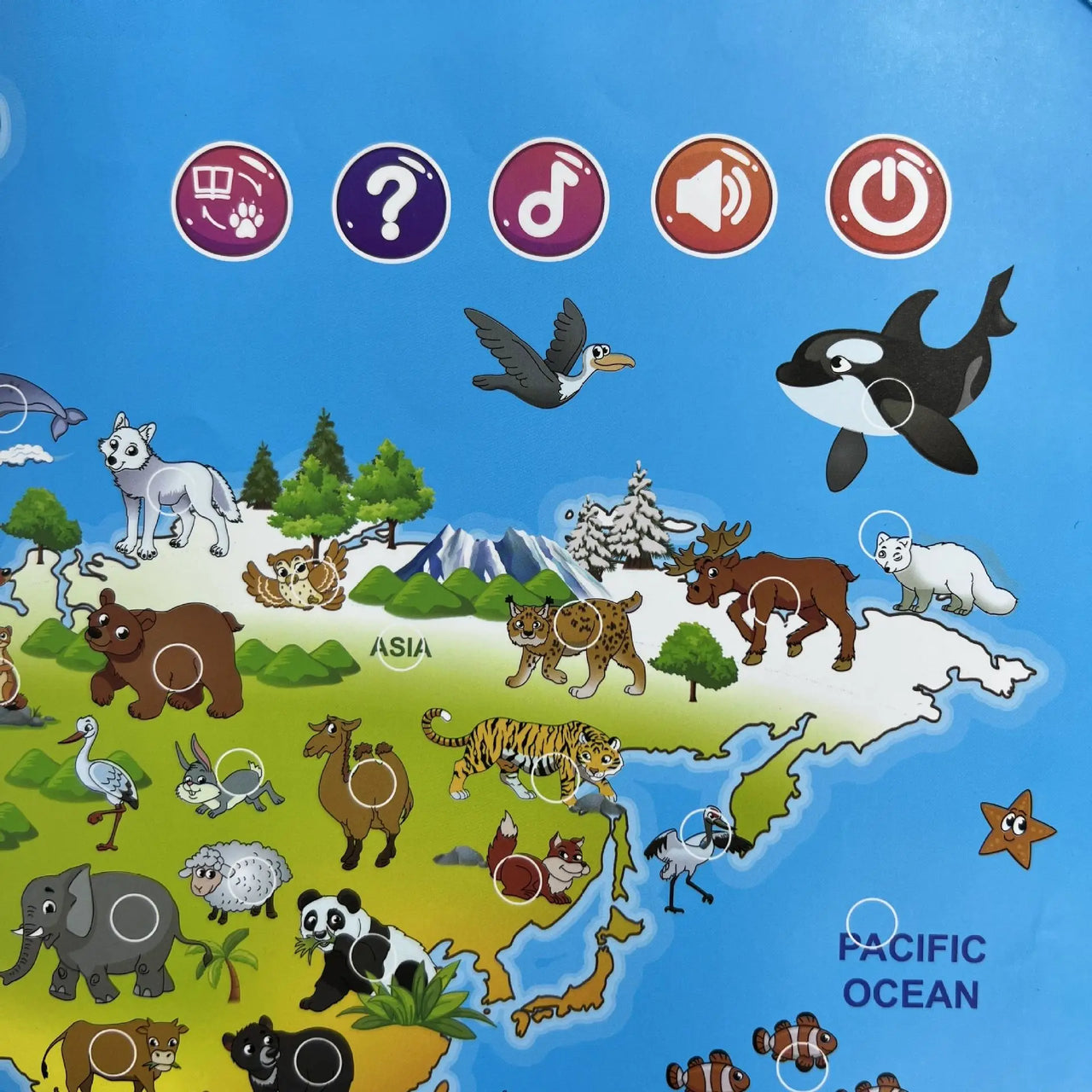LittleExplorers – Imparare e giocare – Mappa mondiale degli animali