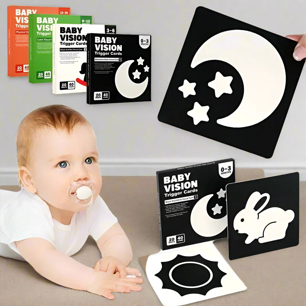 VisionBook – Educativo e istruttivo – Libro di carte sulla cognizione dei bambini