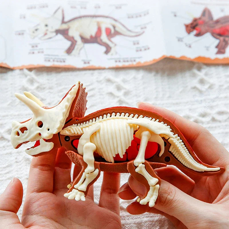 DinoDig – Emozionante e istruttivo – Set per lo scavo di fossili