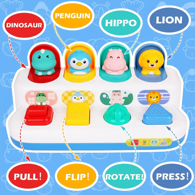 Pop Up Activity Toy – Scoprire e imparare – Giocattoli sensoriali per neonati