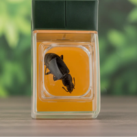 Thumbnail for Bug Catcher with Magnifier – Da scoprire e istruttivo – Acchiappainsetti