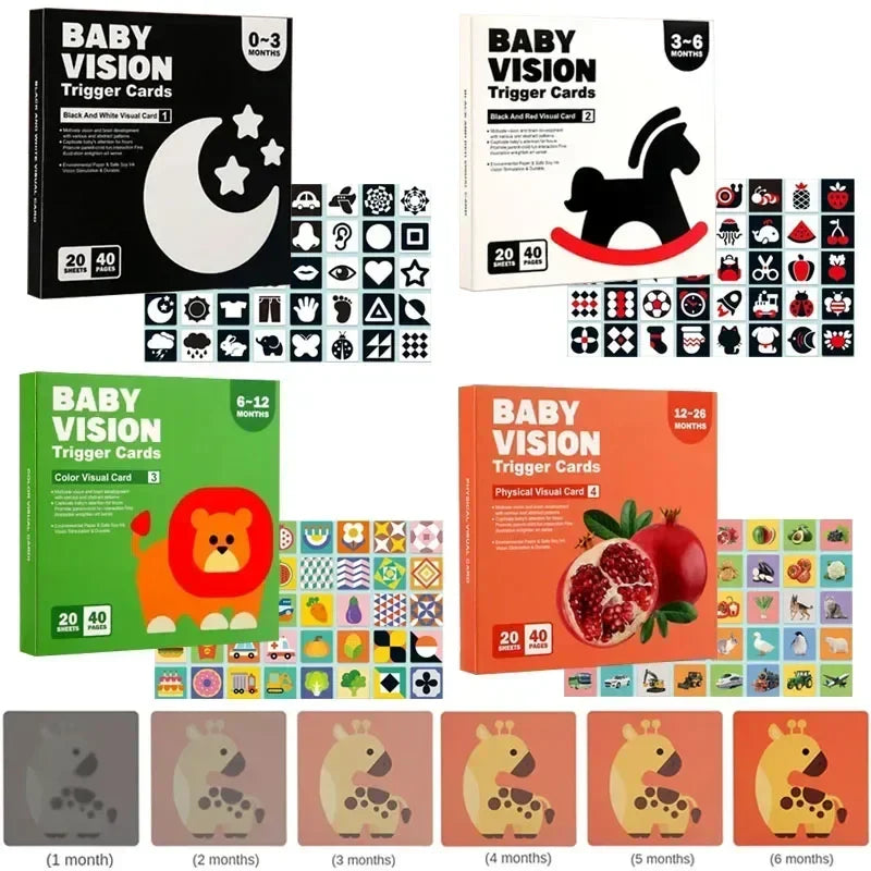 VisionBook – Educativo e istruttivo – Libro di carte sulla cognizione dei bambini