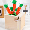 Smart Carrots –  Colori e forme - Giocattoli di legno da classificare
