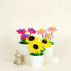 CraftBloom – Colorato e creativo – Set fai da te per creare vasi da fiori