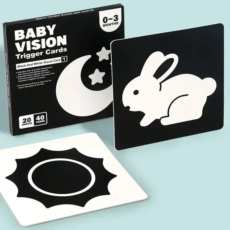 VisionBook – Educativo e istruttivo – Libro di carte sulla cognizione dei bambini