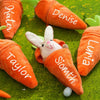 Personalized Bunny – Il regalo di Pasqua perfetto - Coniglietto di peluche con carota e nome