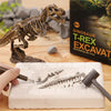 DinoDig – Emozionante e istruttivo – Set per lo scavo di fossili