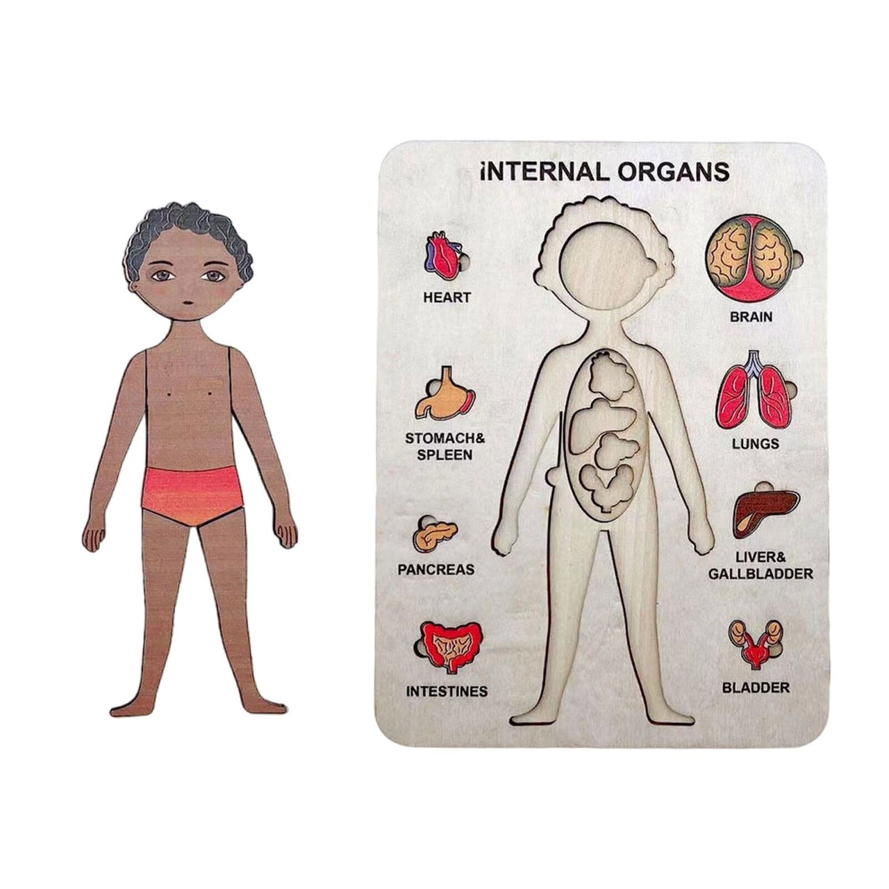 Woods™ - Esplora il corpo umano! - Puzzle educativo