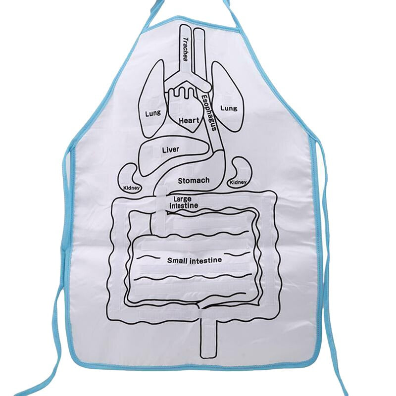 Anatomy Apron™ - Esplora il corpo in modo interattivo - Grembiule per imparare l'anatomia