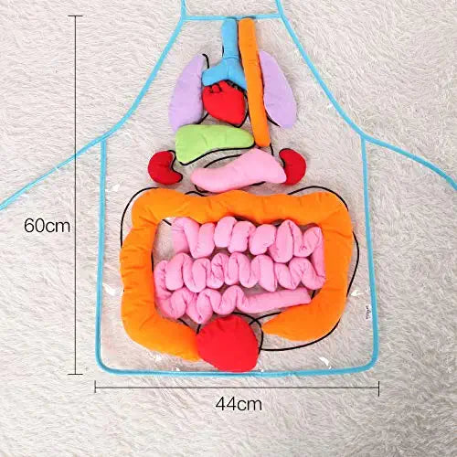 Anatomy Apron™ - Esplora il corpo in modo interattivo - Grembiule per imparare l'anatomia