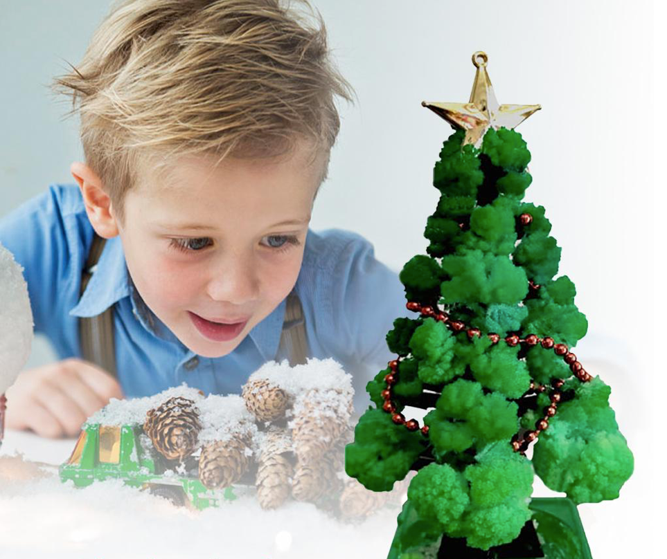 GrowTree™ - Coltiva il tuo albero di Natale - Albero di Natale che cresce da solo (1+1 GRATIS)